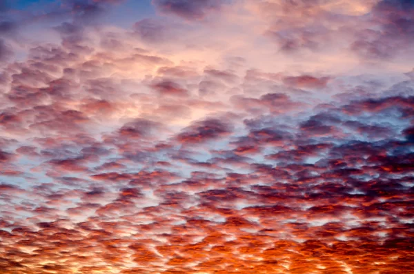 Cielo drammatico con nuvole al tramonto — Foto Stock