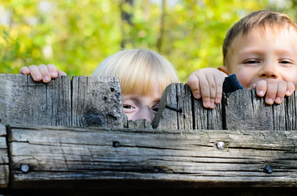 Two children peeking over a wooden fence — Stock Photo, Image