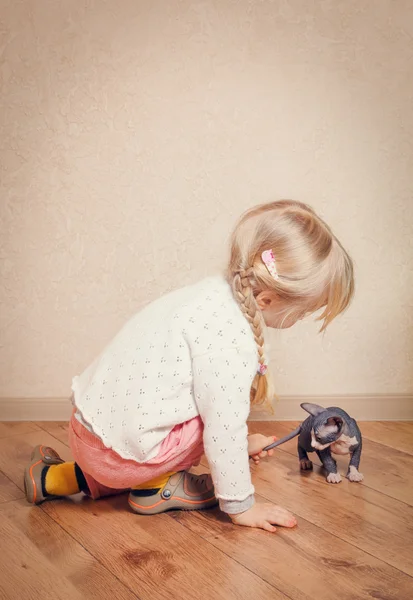 Kleines blondes Kind spielt mit Sphinx-Kätzchen — Stockfoto