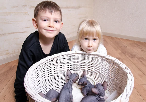 Enfants souriant à la caméra derrière les chatons Sphynx — Photo