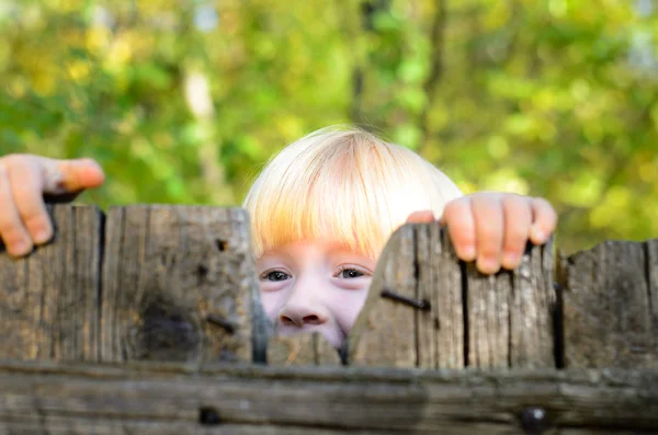 Joyeux petite fille regardant sur la clôture en bois — Photo