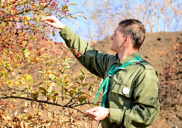 Scout kolla in höstens bär — Stockfoto