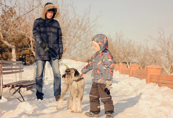 Little boy patting a dog on a lead — Stock Photo, Image