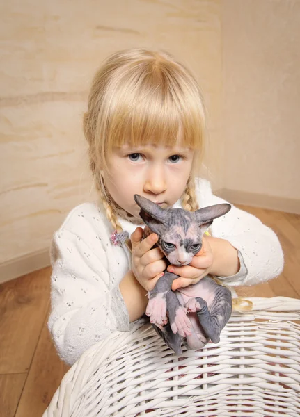 Liten blond flicka håller en sphynx kattunge — Stockfoto