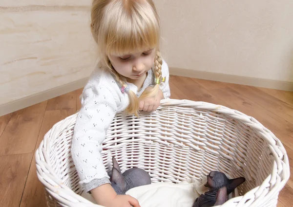 Malá blonďatá holka drží koťátko sphynx — Stock fotografie