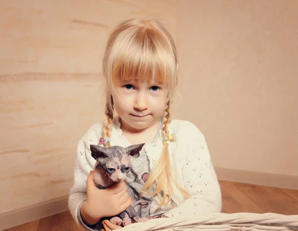 Милая маленькая девочка обнимает маленького сфинкса-котенка — стоковое фото