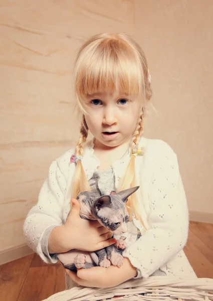 Cute little girl cuddling a small sphynx kitten — Stock Photo, Image