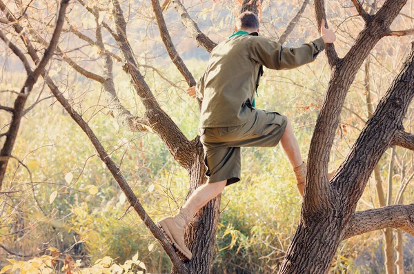 Porträtt av Boy Scout står i träd — Stockfoto