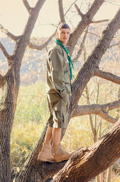 Porträtt av Boy Scout står i träd — Stockfoto