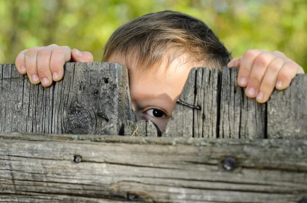 Mannelijke Kid gluren Over een rustieke houten hek — Stockfoto