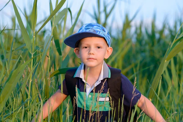 Jonge jongen verbergen in verse groene riet — Stockfoto