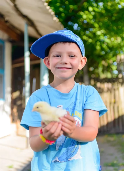 Lachende jongetje houden een jonge chick — Stockfoto