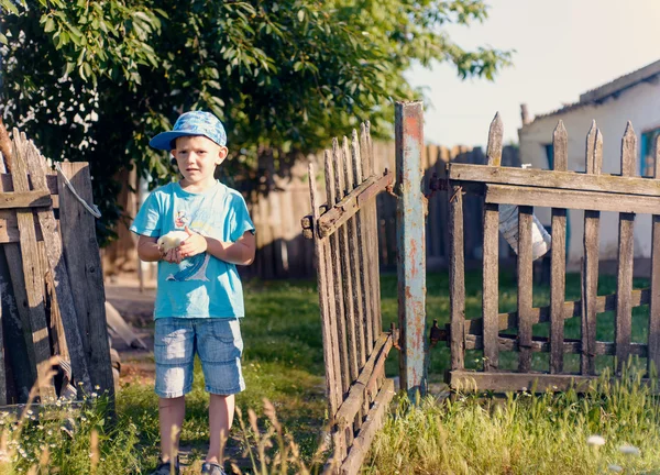 Мальчик держит цыпленка в саду — стоковое фото