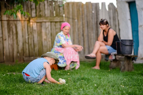 保護者が付いている裏庭で彼のひよこを弾いている少年 — ストック写真