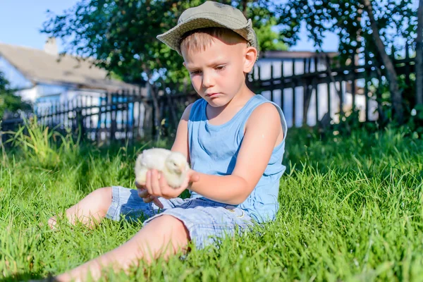 Jongen zittend op gras spelen met fuzzy kuiken — Stockfoto