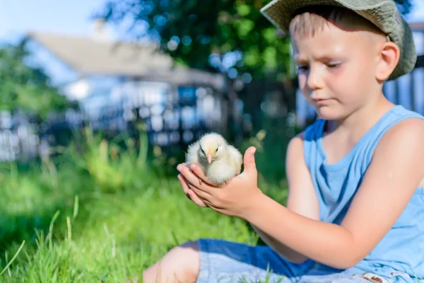 Niño sentado al aire libre en la hierba sosteniendo peludo polluelo — Foto de Stock