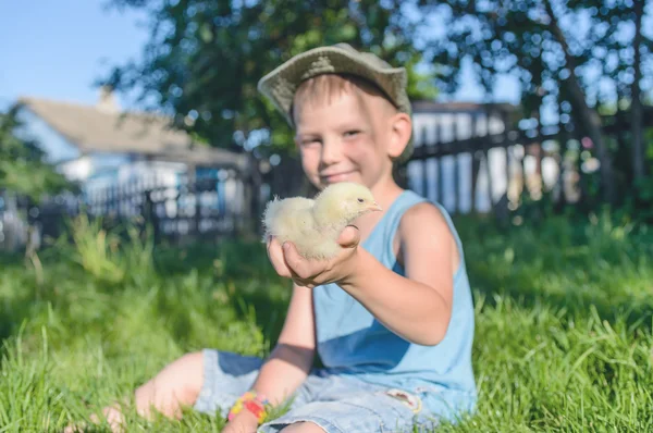Pojken sitter utomhus på gräs anläggning fuzzy chick — Stockfoto