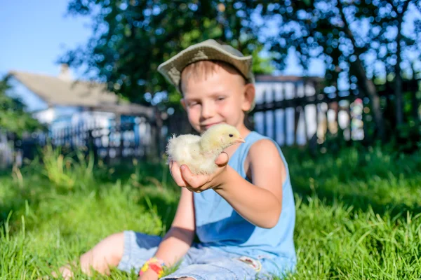 Pojken sitter utomhus på gräs anläggning fuzzy chick — Stockfoto