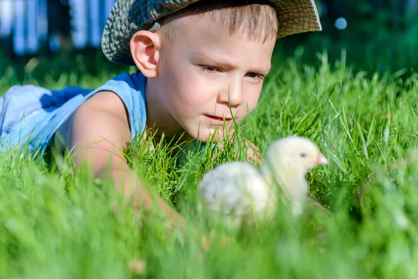 Joven jugando con el polluelo en la hierba larga —  Fotos de Stock