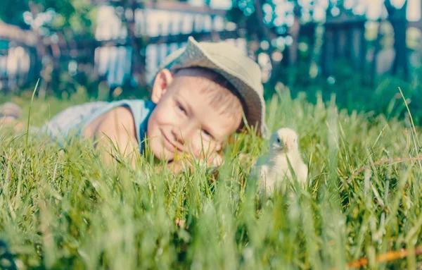 Jonge jongen liggen in lange gras met fuzzy kuiken — Stockfoto