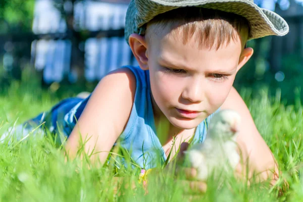 Menino Jovem Brincando com Pintainho em Grama Longa — Fotografia de Stock