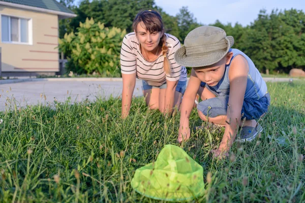 Мальчик ловит насекомых со своей матерью — стоковое фото