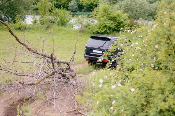 Fekete tehergépkocsi, vontató halott fa ága, mezőn át — Stock Fotó