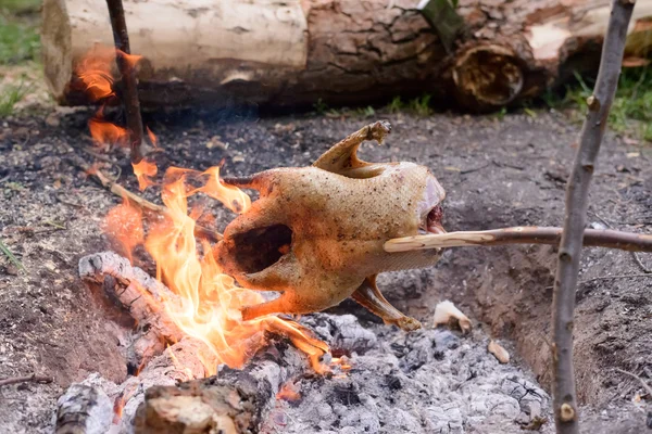 Κοτόπουλο ψήσιμο σε ανοιχτή φωτιά κατασκήνωσης — Φωτογραφία Αρχείου