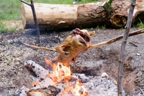 Chicken Roasting Over Open Camp Fire — Stock Photo, Image