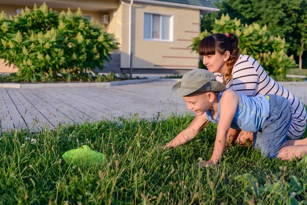 母亲和儿子一起 Bug 净探索在草坪上 — 图库照片