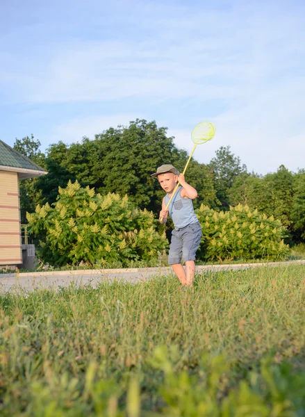 Pojke med bugg Net utforska långt gräs på gräsmattan — Stockfoto