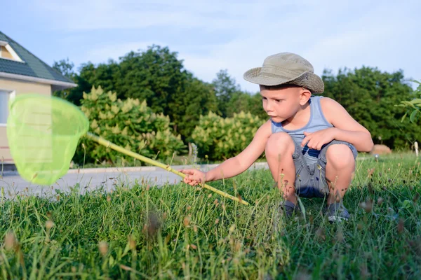 Joven con la red de insectos explorando hierba larga —  Fotos de Stock