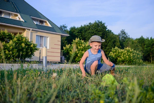 Liten pojke fånga insekter med en netto — Stockfoto