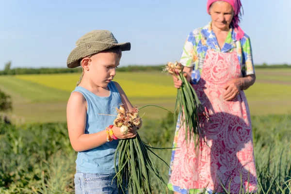 Jongen uit werken op een boerderij — Stockfoto