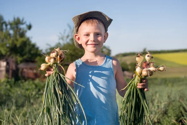 新鮮な収穫玉ねぎと笑みを浮かべて少年 — ストック写真