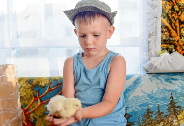 Grave carino giovane ragazzo holding suo pollastrella animale domestico — Foto Stock