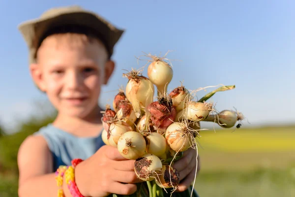 Little boy displaying a bunch of fresh onions — Stock Photo, Image