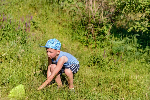 Pojke med Catcher nätet letar efter insekter till fångst — Stockfoto
