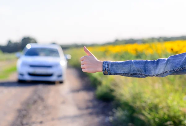 Młoda kobieta autostopem na wsi — Zdjęcie stockowe