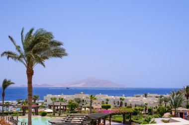 Sahil daireler bir tropikal tatil üzerinde göster