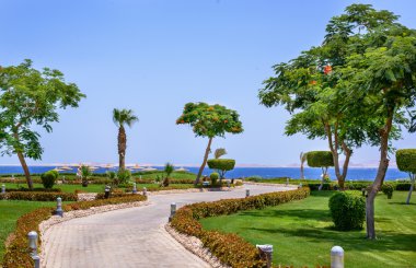 Sahil yolu üzerinde bir tropikal tatil
