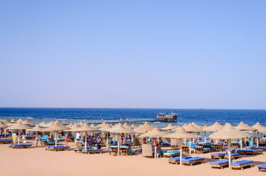 Tropical beach resort with umbrellas and recliners