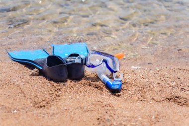 Aletli dalış dişli Okyanusun kenarında