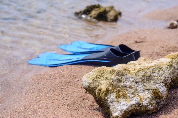 Paar van flippers aan de kust — Stockfoto