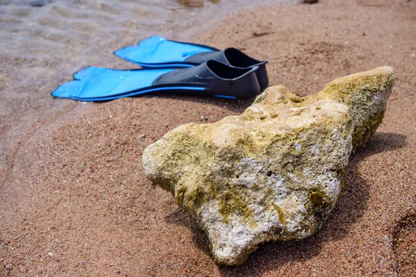 Paar Schwimmflossen an der Küste — Stockfoto