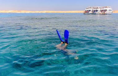 Denizin altında dalış snorkeler