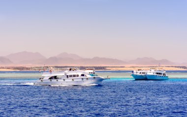 Grup tur gemileri ve dalış tekneleri