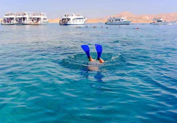 Snorkelaar duiken onder de zee — Stockfoto