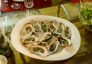 İstiridye masaya bir tabak içinde