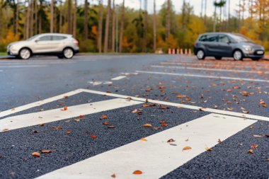 Autumn leaves lying in a parking lot clipart